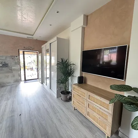 Terrasse De Cimiez Nice